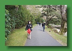 Connemara (226)